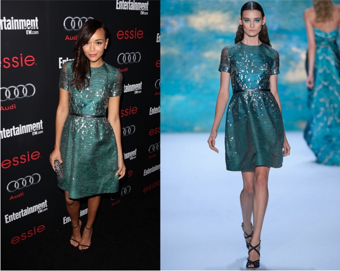 Ashley Madekwe in Monique Lhuillier at Entertainment Weekly SAG Awards Pre-Party