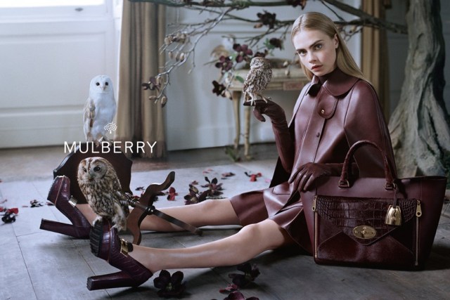 mulberry-fall2