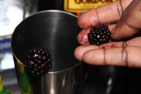 Blackberry Gin Cocktail 2